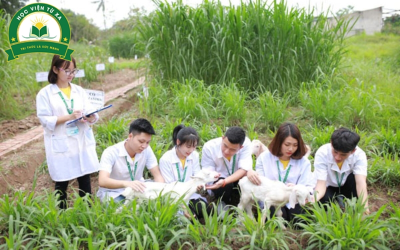 Ưu điểm khi học Trung cấp Thú y học cuối tuần