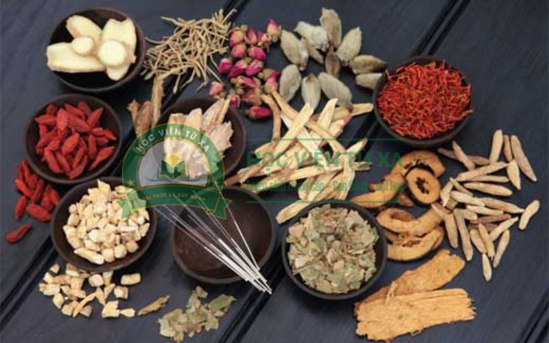 Ai hợp với ngành Y học cổ truyền?