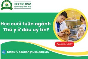 Học cuối tuần ngành Thú y ở đâu uy tín?