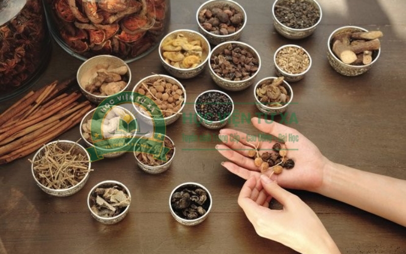 Ngành Y học cổ truyền xét học bạ có dễ đậu không?