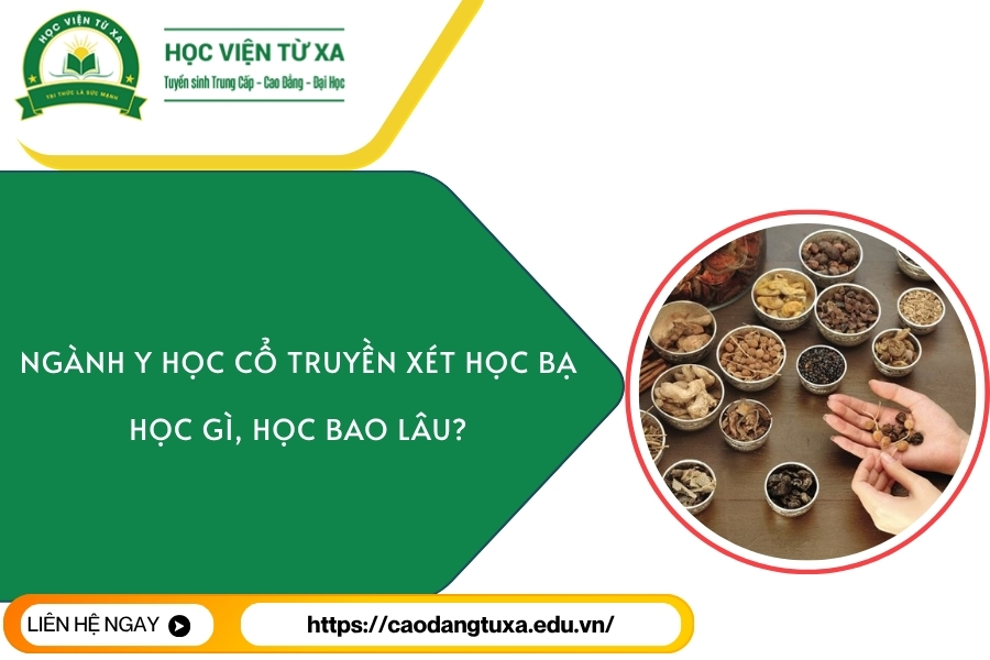 Ngành Y học cổ truyền xét học bạ: Học gì, học bao lâu?