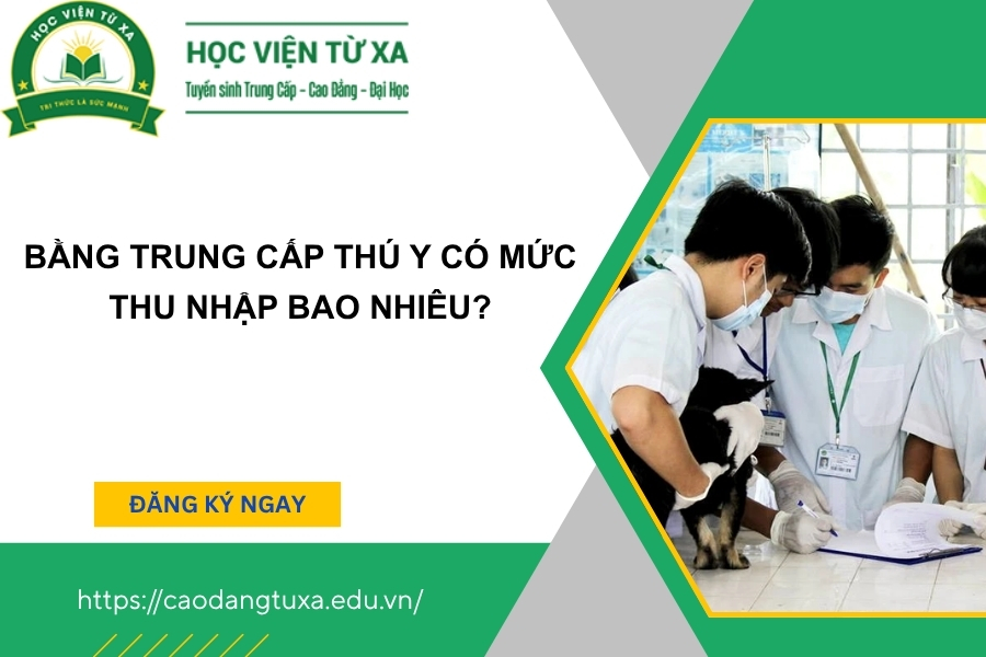 Bằng Trung cấp Thú y có mức thu nhập bao nhiêu?