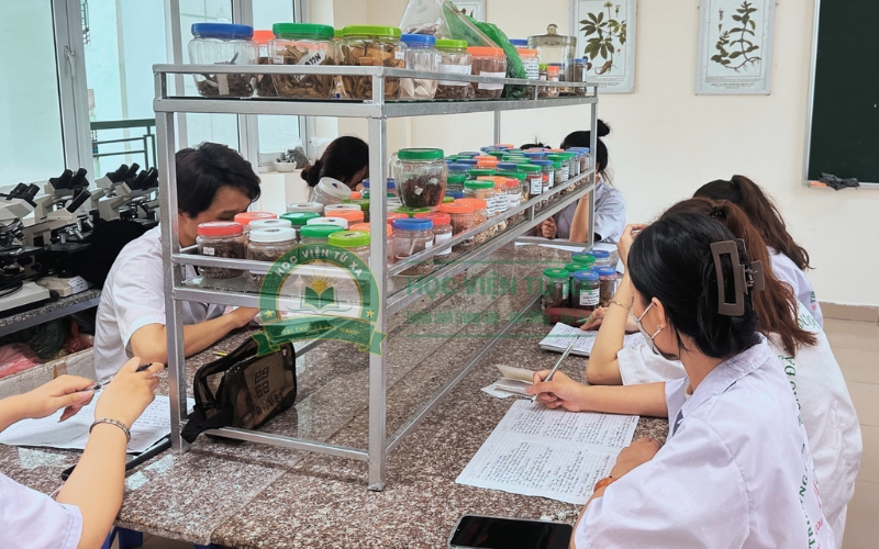 Điều kiện đăng ký Cao đẳng Y học cổ truyền gồm những gì?