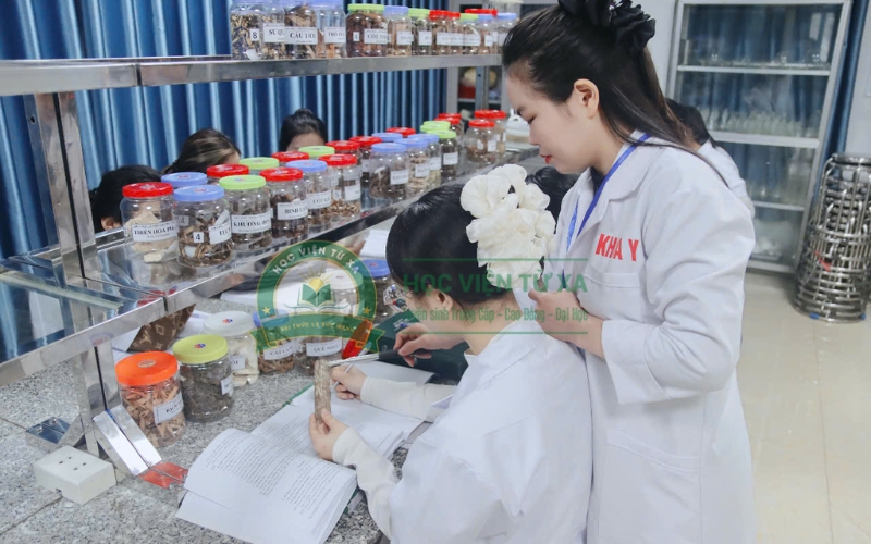 Học phí Cao đẳng Y học cổ truyền bao nhiêu?