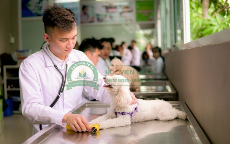 Học Trung cấp Thú y gồm những khoản phí nào?