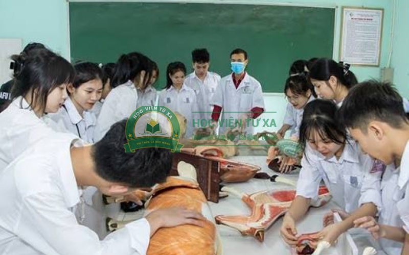 Mức lương sau khi tốt nghiệp Trung cấp Thú y là bao nhiêu?