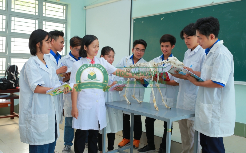 Những yếu tố nào ảnh hưởng đến mức lương ngành Thú y?