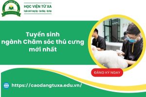 Tuyển sinh ngành Chăm sóc thú cưng mới nhất