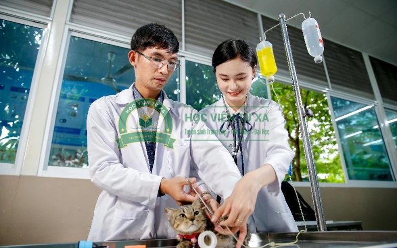 Mức lương hiện tại của ngành Thú y