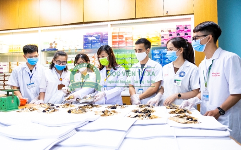 Những yếu tố nào quyết định thời gian học Y học cổ truyền?