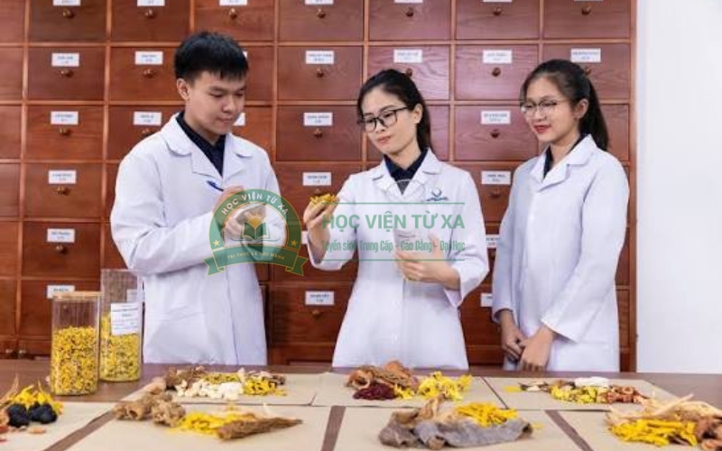 Thời gian học Y học cổ truyền mất bao lâu thì tốt nghiệp?