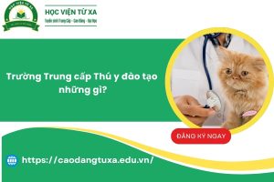 Trường Trung cấp Thú y đào tạo những gì?